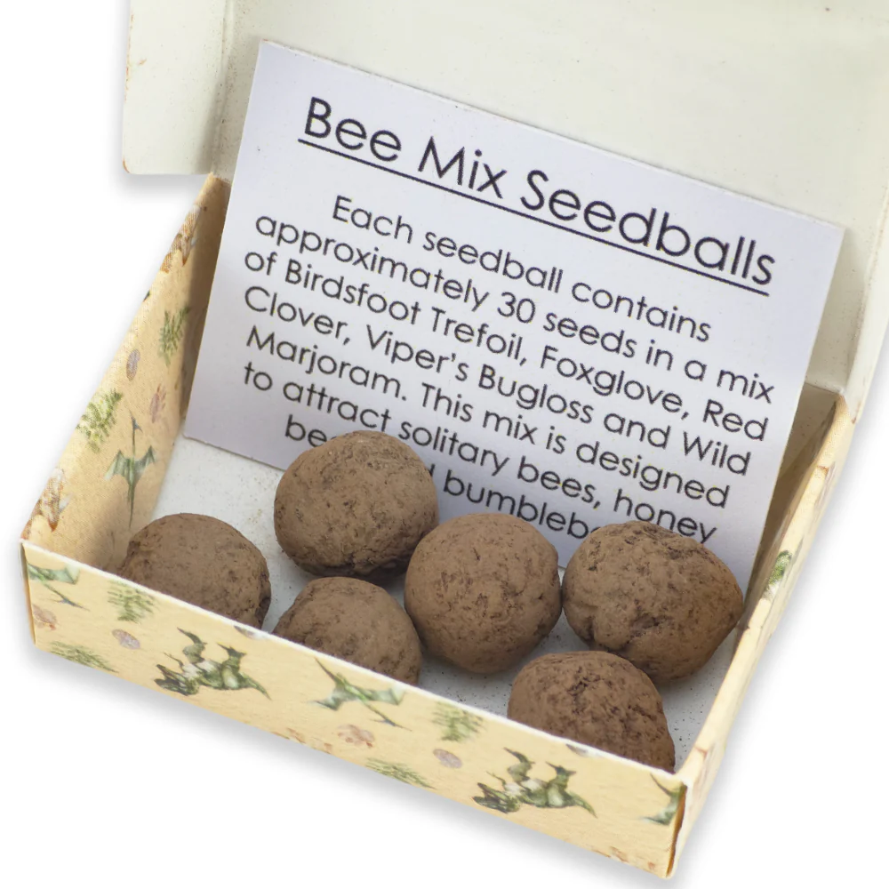 Dinosaur Poos | 6 Seedball Matchbox | Bee Mix | Cracker Filler | Little Gift - Image 3