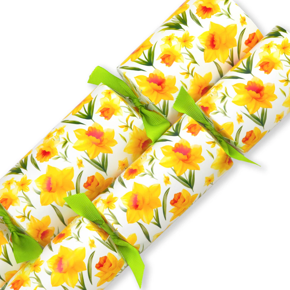 Easter Cracker Making Kits | Makes 6 | Big Choice of Designs for All the Family - Image 8
