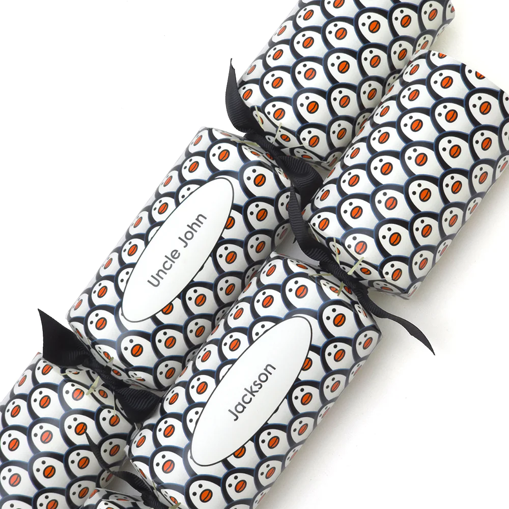 Personalised Cracker Making Craft Kit | Just Penguins |  Makes 4 or 6 Crackers - Image 5